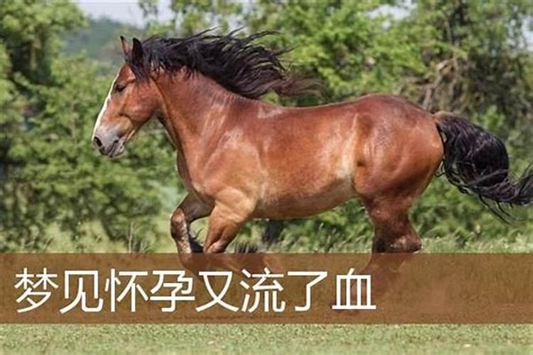 梦见别人流产出血了是什么征兆,怀孕梦见流产什么意思
