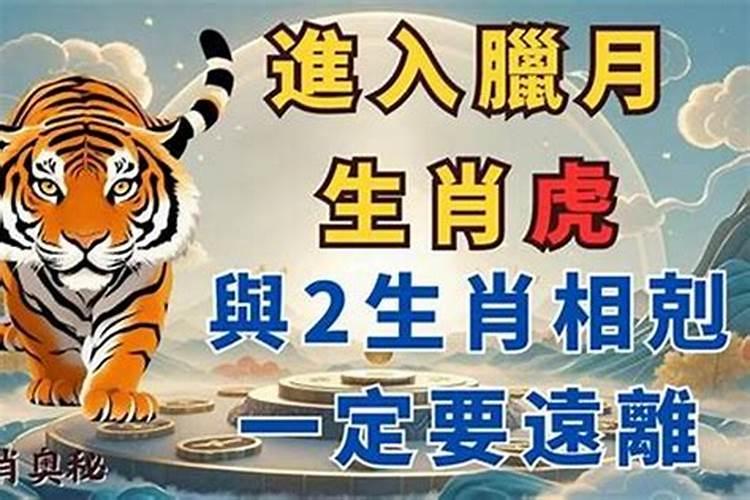2025属虎人全年12个月运势