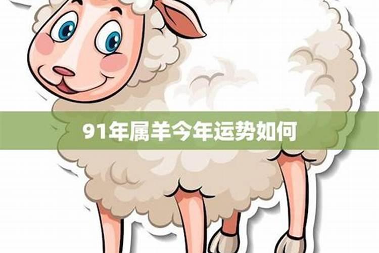 91年的羊2025年运势