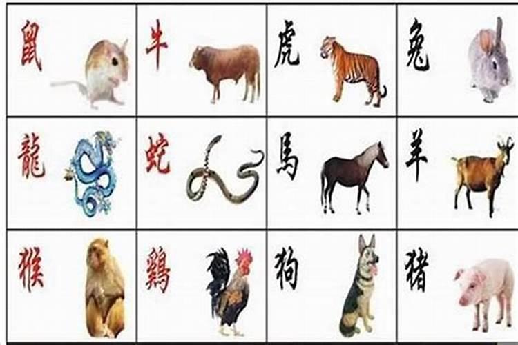 梦到耕地是什么意思？