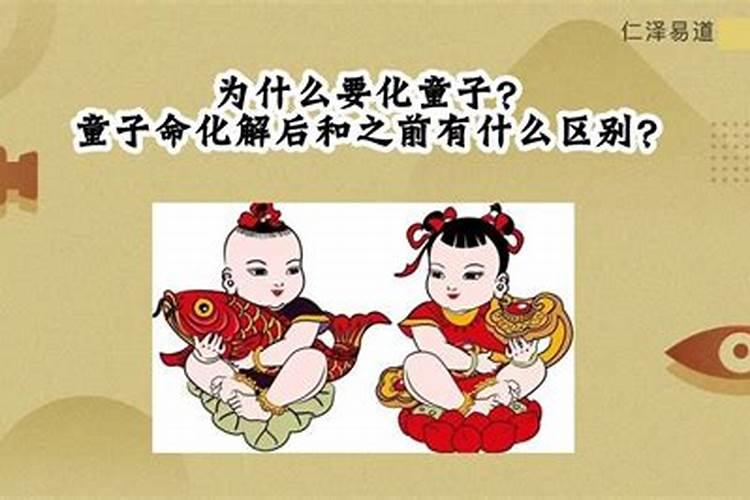2025年的蛇五行属什么命