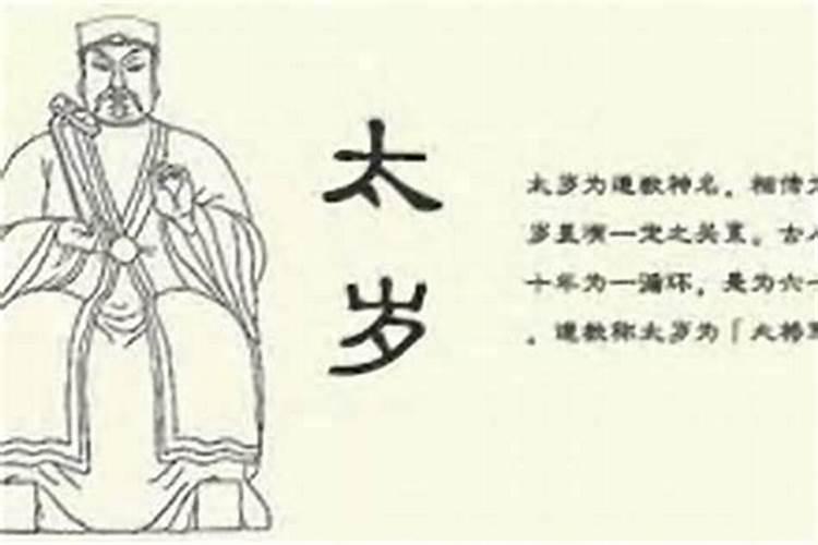 1955年是什么生肖年 55年出生的人属什么
