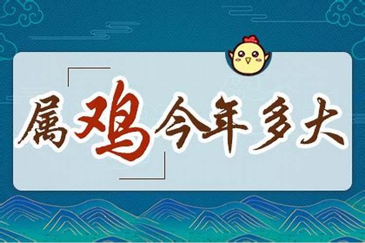 生肖鸡是什么性格特点,正义感强,爱打抱不平？