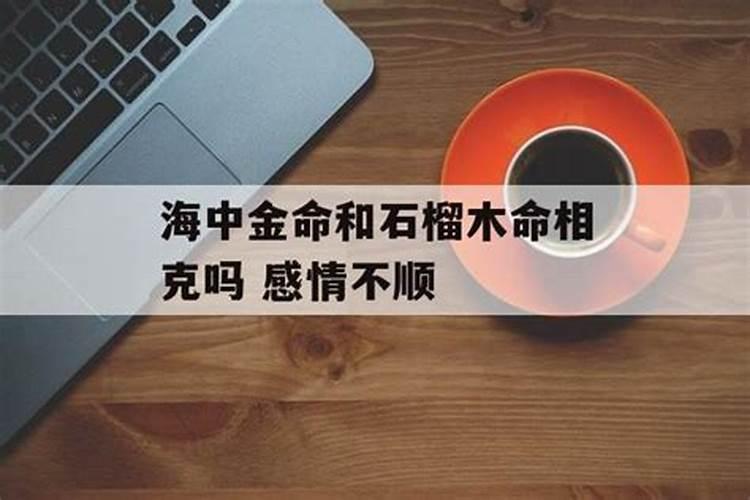 石榴木男和海中金女般配吗
