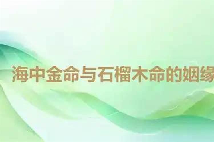 男石榴木女海中金能不能合婚