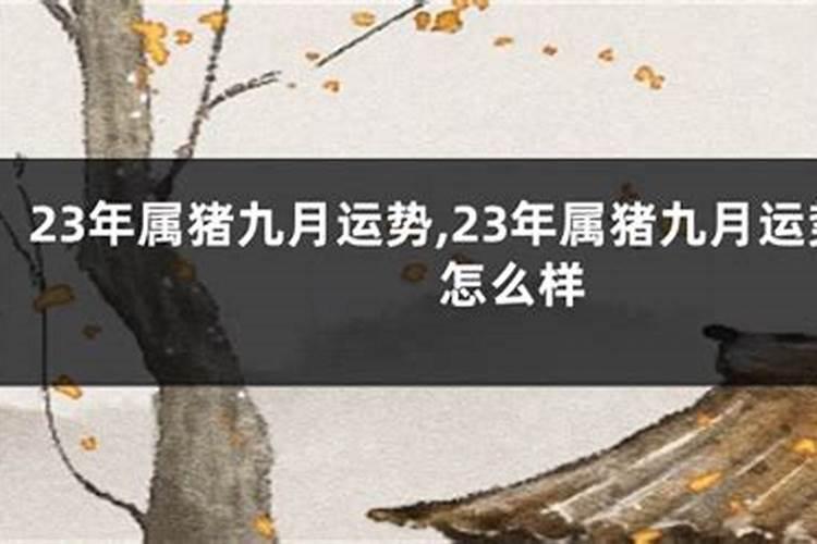 79年属羊的一生三大劫难 79年生肖羊后福之人？