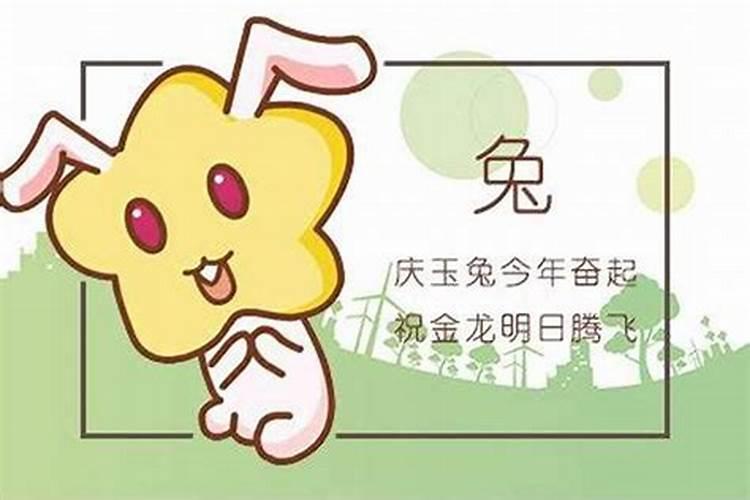 属兔的今年多大了2025