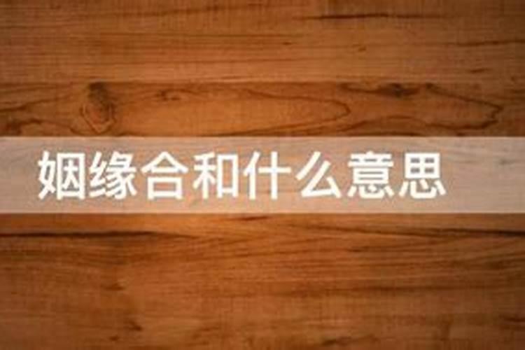 姻缘和合是什么意思？