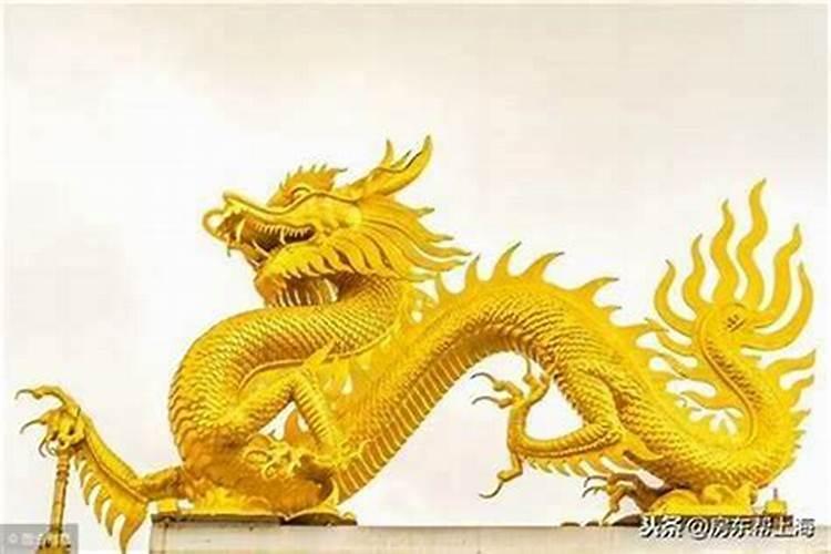 12出生龙2025年几岁了