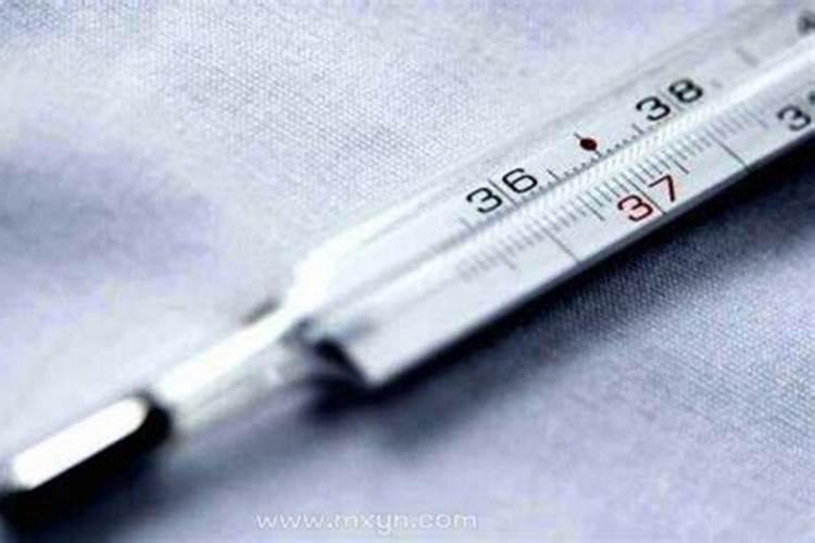 69年属鸡人在2025年的详细运势是什么？