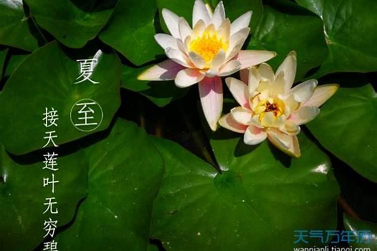 生肖猪什么月份出生最好 属猪人出生月命运？