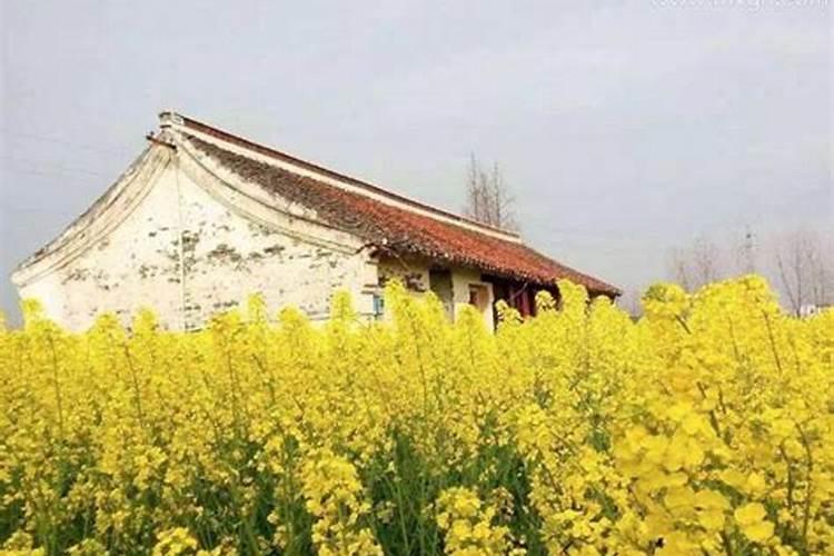 梦见自己老家的房子的预兆