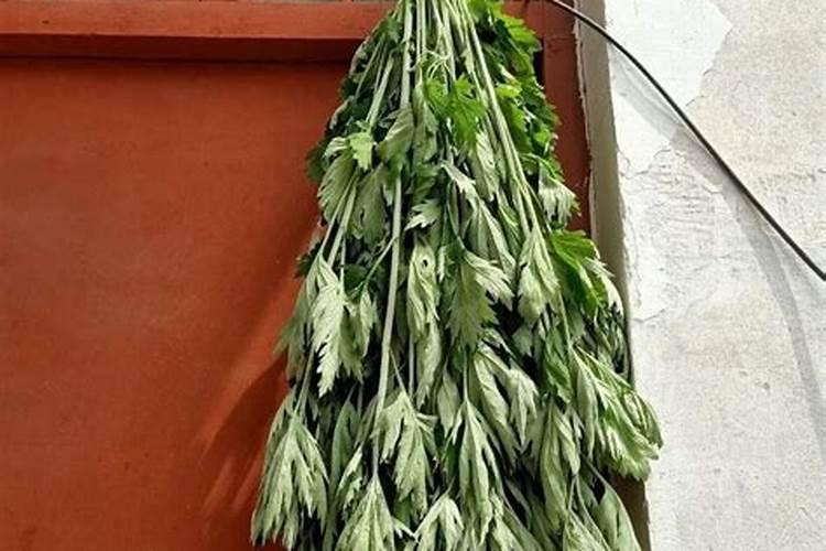 端午节放假高速免费几天