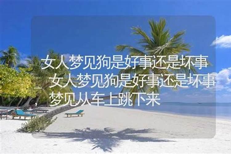 女人梦到狗是什么征兆 女人梦见狗好不好
