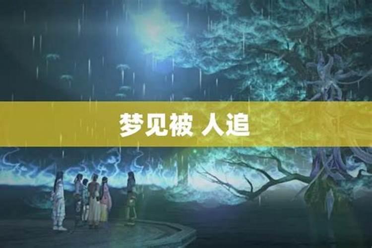 梦见被大马追