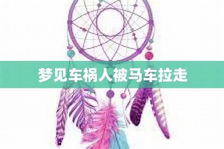 梦见马车撞我