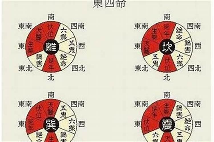 八字里的命带自刑是什么意思