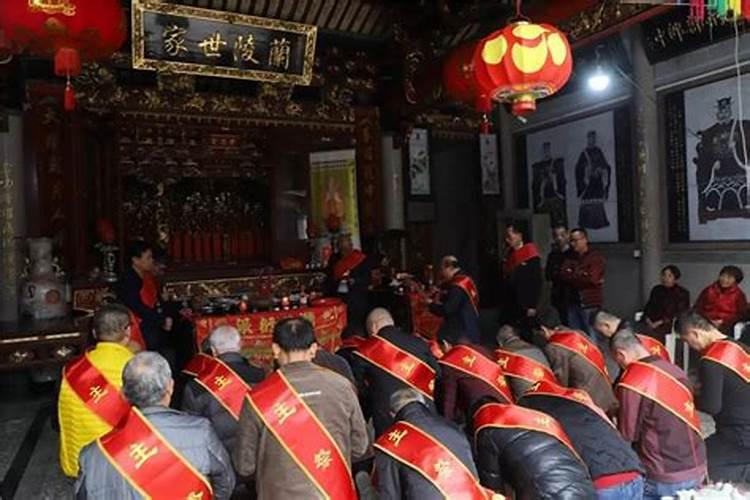 清明节为什么去要种树