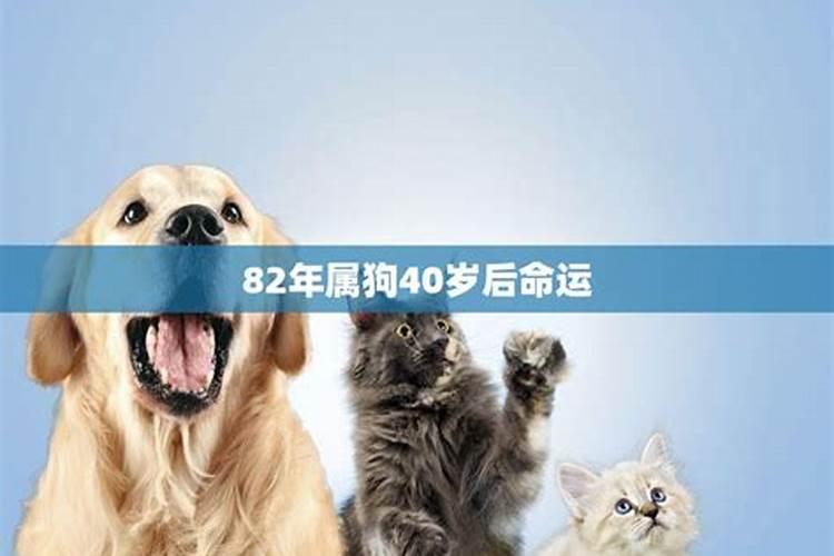 74年虎2025年的运势