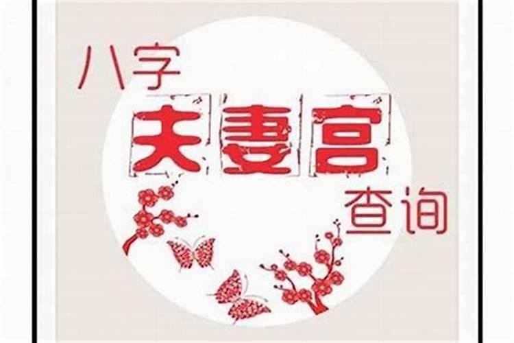 看个人婚姻次数 八字中的夫妻宫看婚姻？