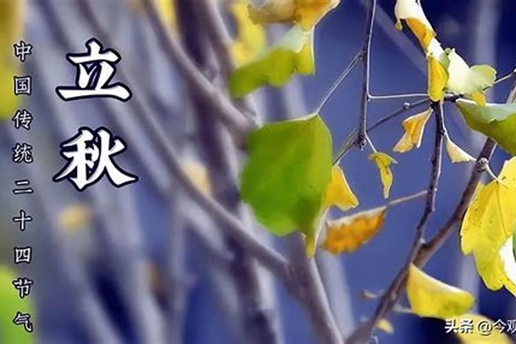 生肖属相不合,生辰八字合可以结婚吗？