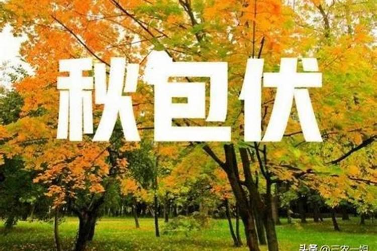 属相不合但八字特别合,属相不合但生辰八字合 结婚好吗