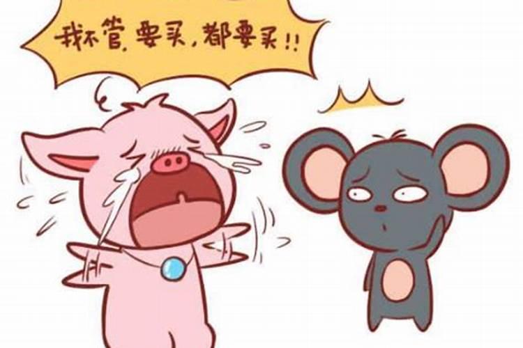 女属猪,男人属鼠,婚姻相配吗