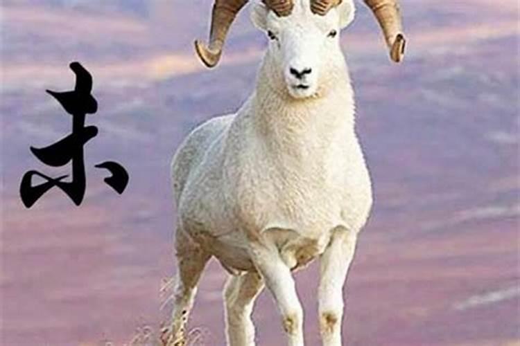 属羊人2024年有犯太岁吗 今年运势如何