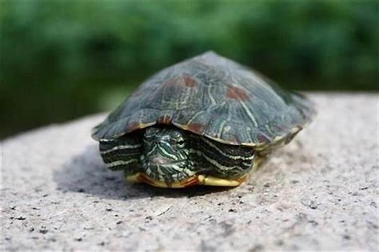 梦见与前妻在一起是什么意思？