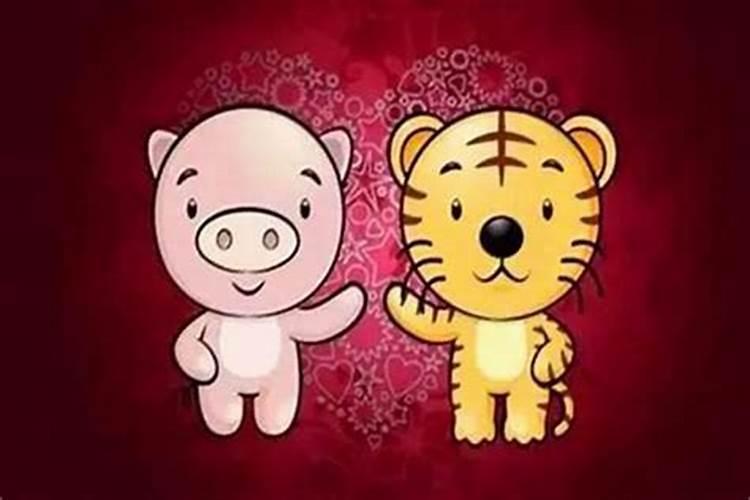属虎男最佳婚配属相