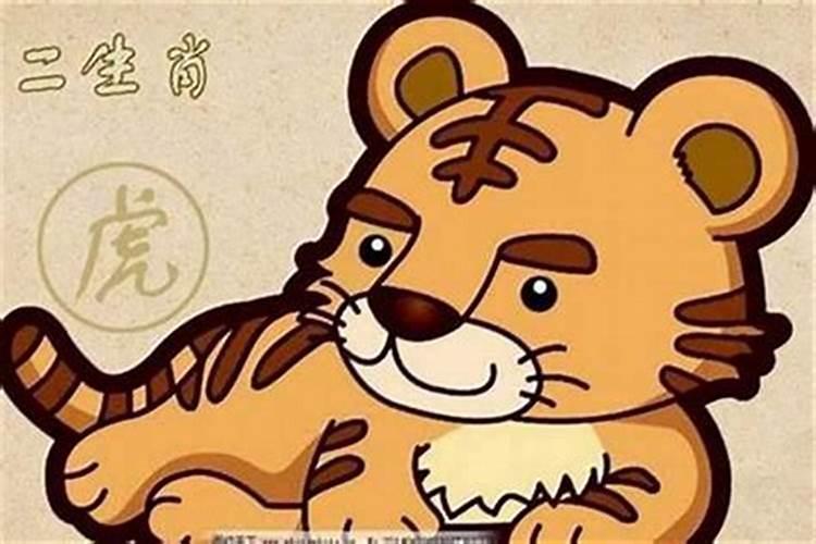 虎男的最佳婚配属相