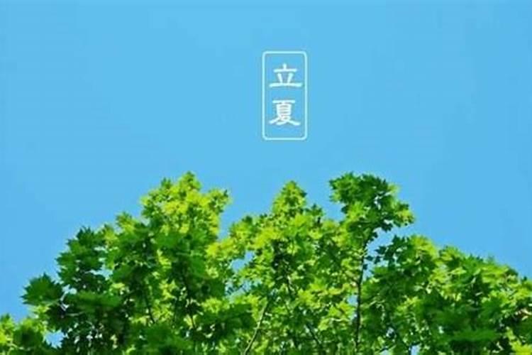 元亨利贞八字排盘系统详解与应用