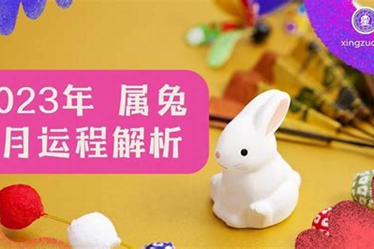 2025属兔人每月运势及运程如何 属兔人2025年运势