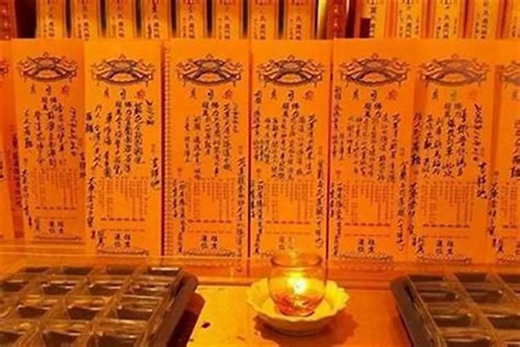 明年属啥生肖2025