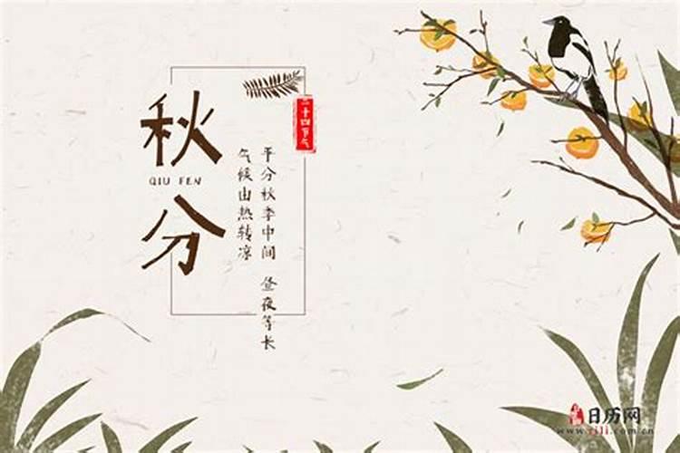 属鼠72年2020每月命运