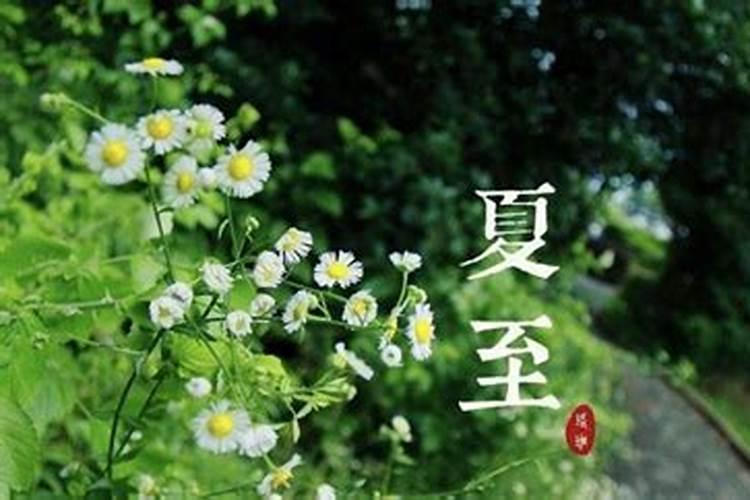 梦见不认识但很亲切的女孩的预兆