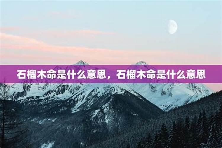 石榴木命人的财运怎么样 生在几月最好