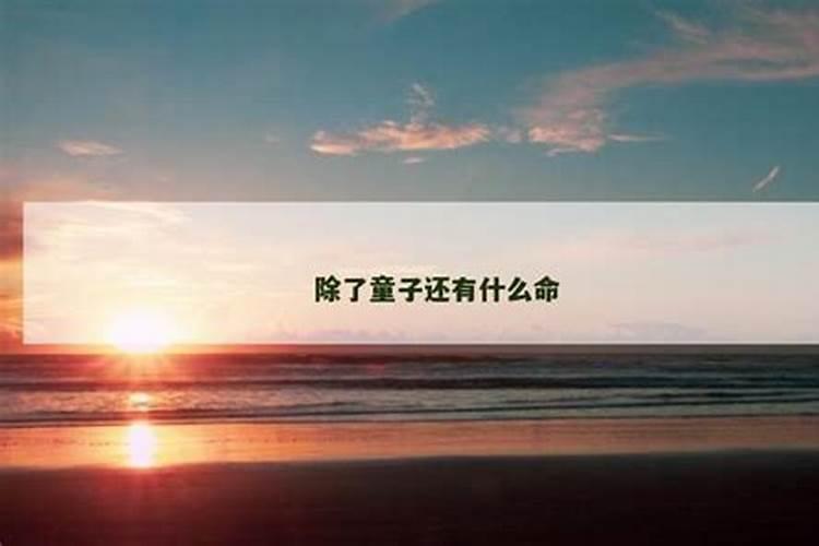 梦见老板娘查账的预兆