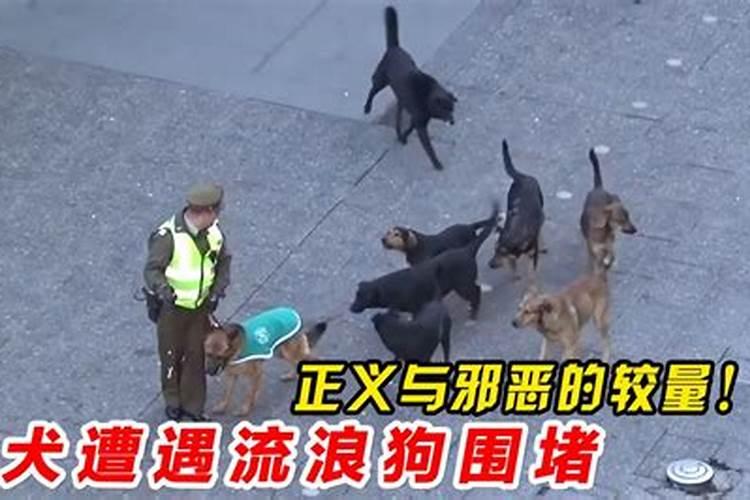 梦见死去的老板娘