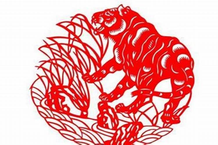 1998年属虎的破月是什么意思,1998年属虎女破月是在哪个月