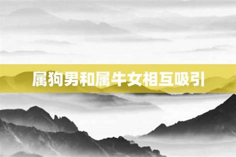 属狗男人和属牛女人相配吗