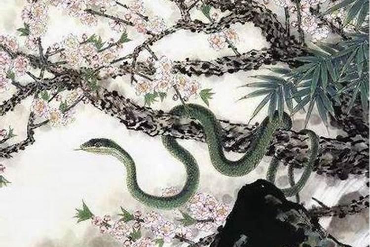 属蛇的哪天出生最好命