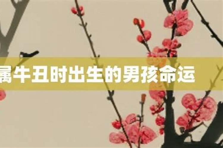 农历2020年腊月二十六凌晨一点28分左右出生的女孩 五行和八字是什么...