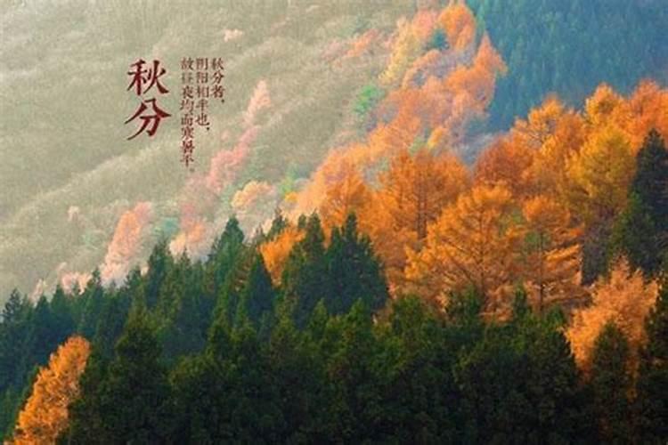 杀破狼的由来