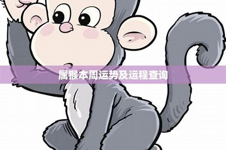 56年属猴人2024年每月运势