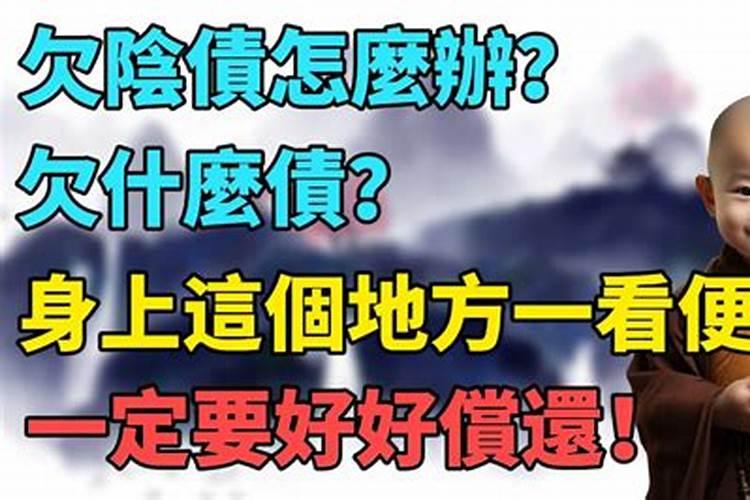 1984年2025年属鼠人的全年运势