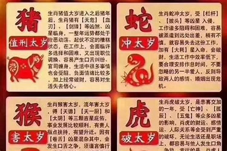 生肖兔2025年运势及运程如何