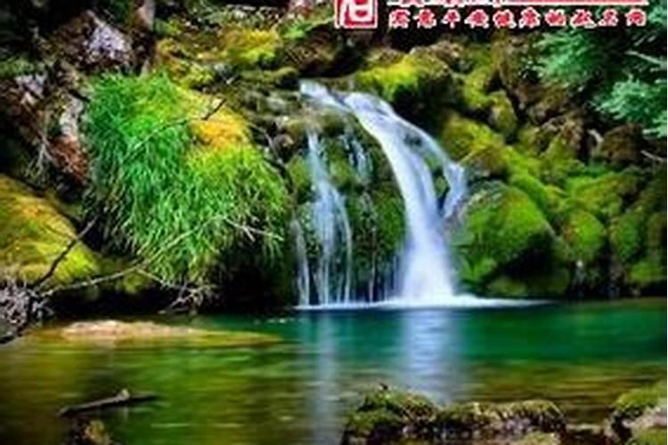 梦见泉水有什么预兆？是什么意思？