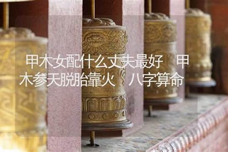 甲木女配什么命的合适 与乙木男三观相符