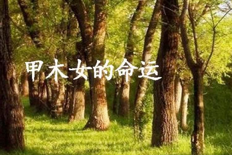 甲木女更佳配偶,甲木命女人更好不结婚